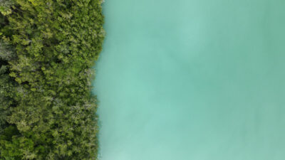 Lotes de inversión en Bacalar — Fase 2