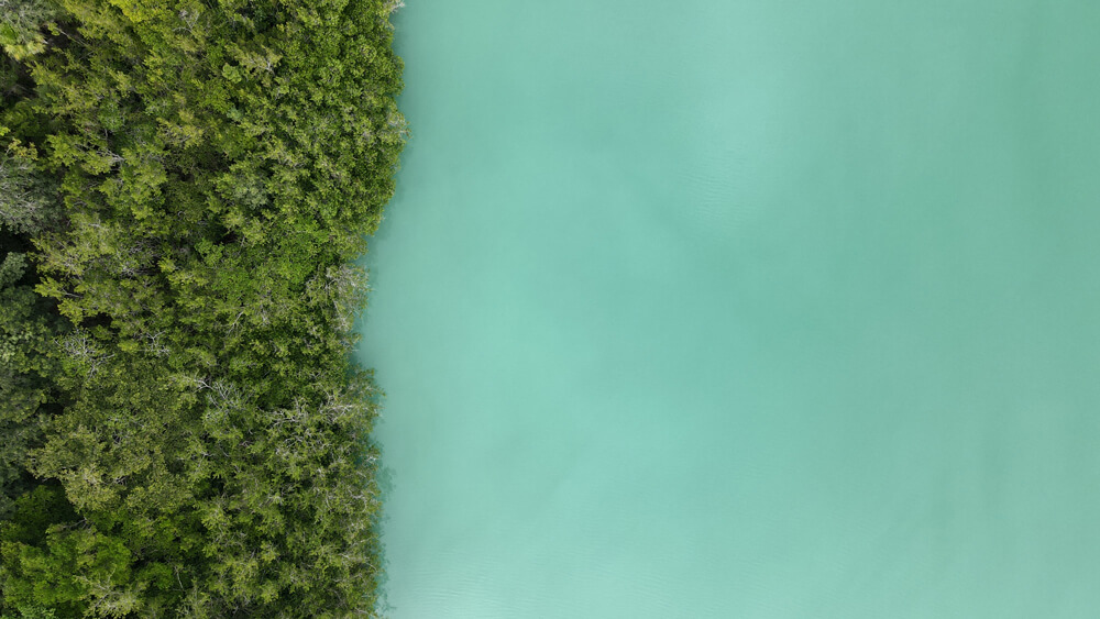 Lotes de inversión en Bacalar — Fase 2